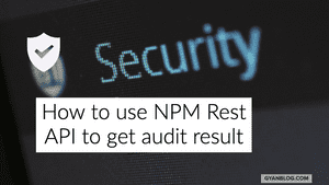 How To Use NPM Rest API To Get Audit (npm Audit) Result | GyanBlog