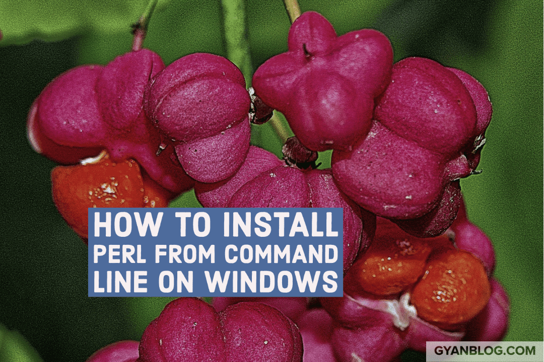 How To Install Perl From Command Line For Automation On Windows And Dockerfile GyanBlog